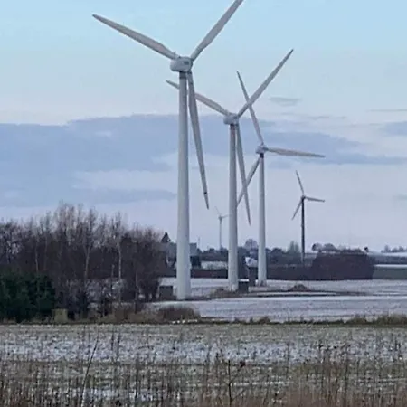 5 Person In * Millinge