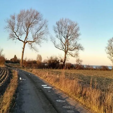 Feriehus 5 Person In *