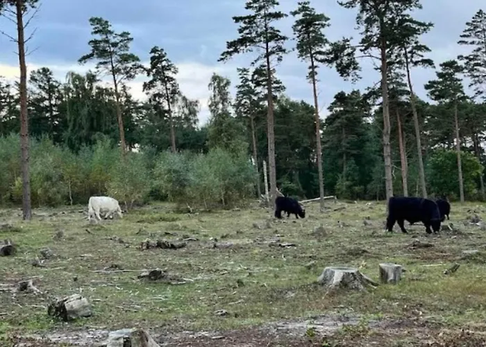 Σπίτι διακοπών 5 Person In Millinge